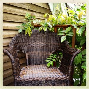 memorial day weekend