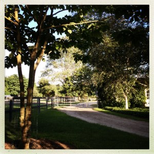 Evening at Stony Hill